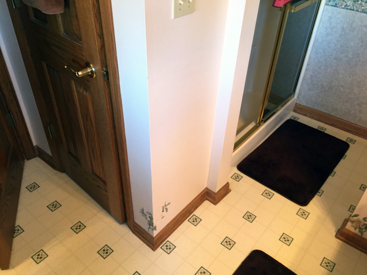 Muskego Master Bath Remodel