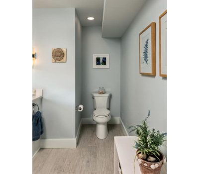The image shows a modern bathroom with light blue walls, framed botanical prints, a potted plant, and a centered toilet.