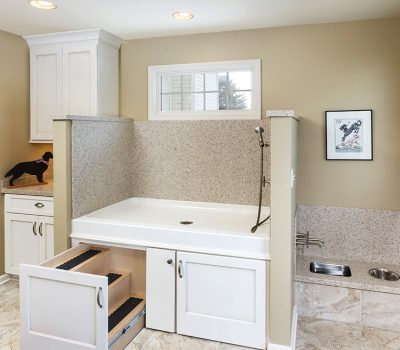 A clean pet washing station with steps, counter space, and storage. Beige walls, window, cabinets, and framed dog artwork enhance the space.